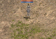 074523sveypes6hx1ee6ky.gif
