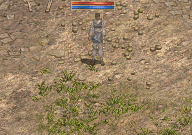 074523t3r92llz1ogxs6r6.gif